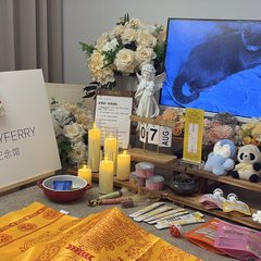 宠物家长客户见证