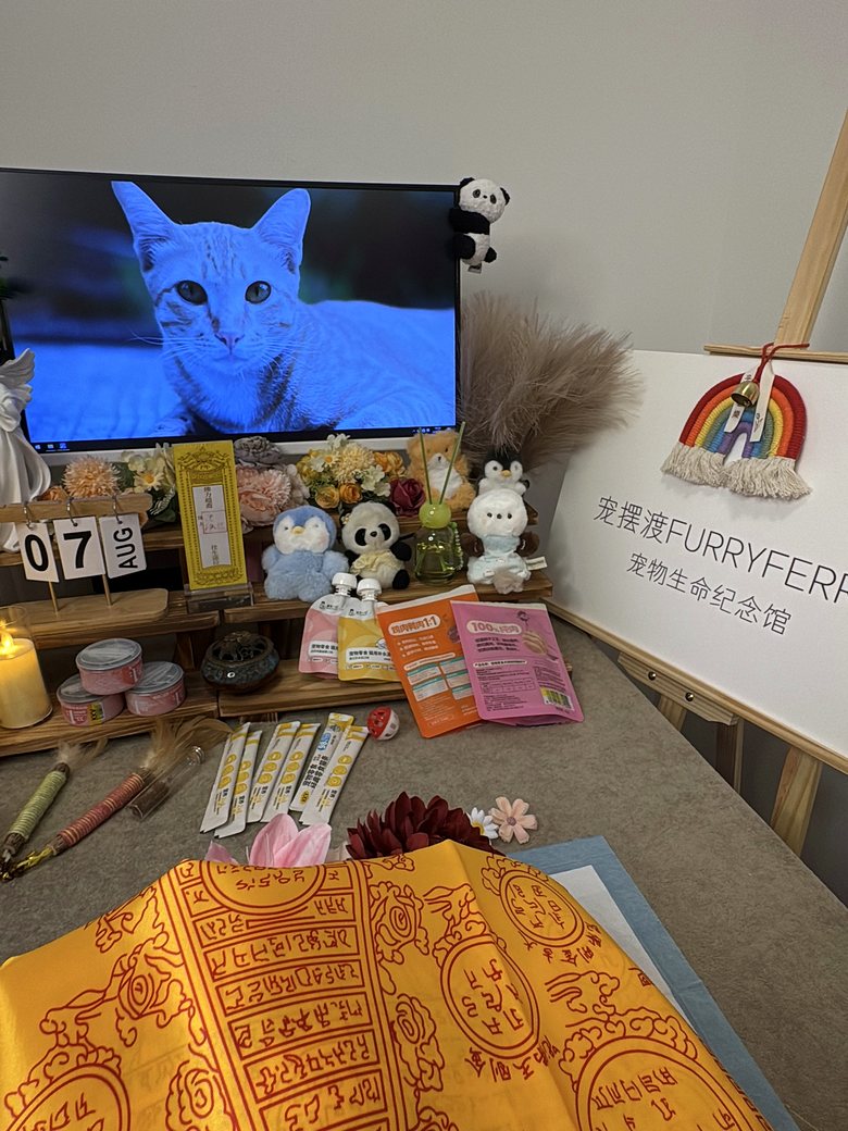 温州宠物殡葬门店告别厅环境